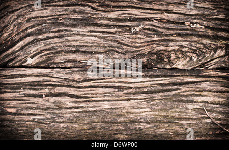 Planche en bois surface texturée avec petits détails Banque D'Images