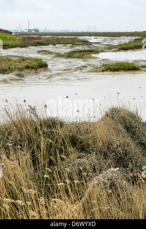 Vange Creek à marée basse. Banque D'Images