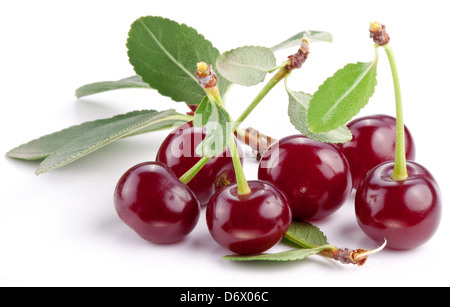 Cerises avec feuilles sur un fond blanc. Banque D'Images