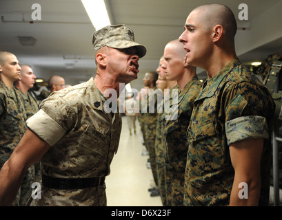 Un instructeur de forage de l'US Marine Corps crie à une aire marine de recruter au cours de l'amorçage au camp des recrues du Corps des Marines Depot le 8 juillet 2009 à San Diego, CA. Banque D'Images