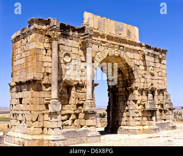 8623. Arc de Triomphe de Caracalla (Roman), Volubilis, Maroc Banque D'Images