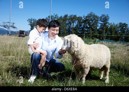 Père et fils se nourrir un mouton dans une ferme Banque D'Images