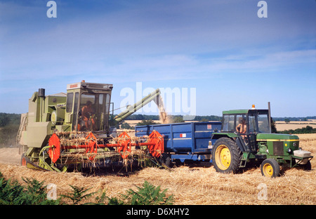 Moment de la récolte, petite coupe de moissonneuse-batteuse de blé. Hertfordshire, Royaume-Uni Banque D'Images
