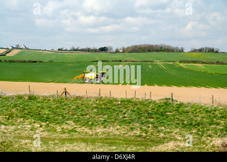Les terres agricoles, près de gileston Llantwit Major, Vale of Glamorgan, Pays de Galles, Royaume-Uni Banque D'Images