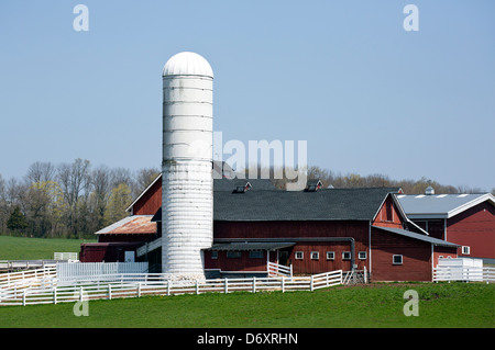 Ferme laitière grange rouge, blanc silo et corral. Banque D'Images