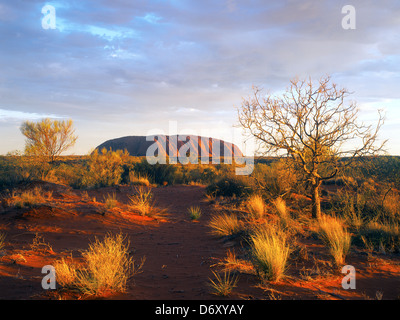 L'Australie, Territoire du Nord, le Parc National d'Uluru-Kata Tjuta, vue du coucher de soleil d'Ayers Rock, Uluru Banque D'Images