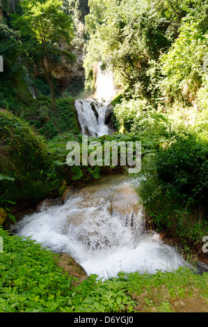 Parco Villa Gregoriana. Tivoli. L'Italie. Vue sur la vallée verte et sereine de l'enfer ou Valle dell'Inferno et ses cascades à t Banque D'Images