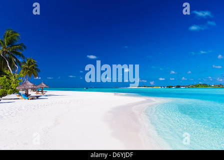 Palmiers sur une plage de sable blanc et lagon Banque D'Images