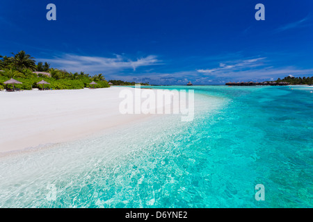 Palmiers sur une plage de sable blanc et lagon Banque D'Images