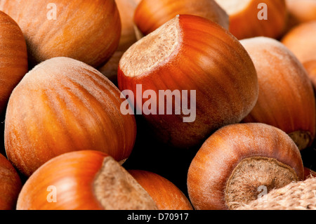 Avelines Banque D'Images