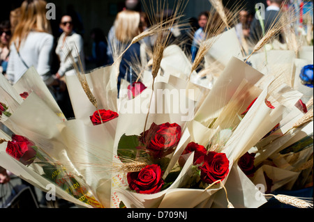 Roses rouges à Sant Jordi festival, ( le jour de la Saint-georges ) dans la rue Passeig de Gracia. Barcelone. La Catalogne. L'Espagne. Banque D'Images