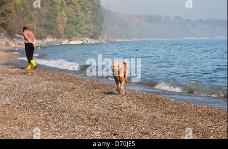 Une femme et un chien partagent une plage sur le lac Michigan un matin d'automne. Banque D'Images