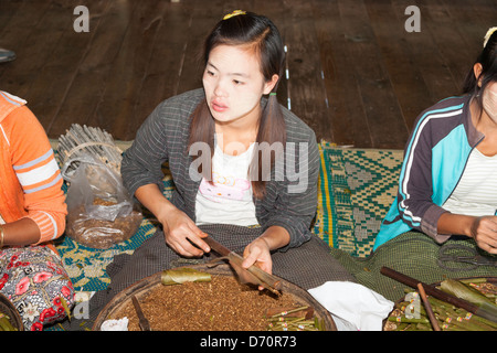 Jeune femme faisant (y compris ceux d'une usine de fabrication des cheroot, Nampan, lac Inle, l'État de Shan, Myanmar (Birmanie), Banque D'Images
