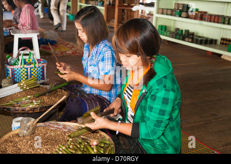 Les jeunes femmes de décisions (y compris ceux d'une usine de fabrication des cheroot, Nampan, lac Inle, l'État de Shan, Myanmar (Birmanie), Banque D'Images