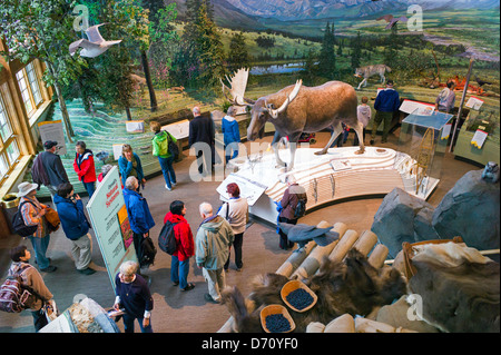 Les touristes visitant le Centre des Visiteurs du Parc National de Denali, Denali National Park, Alaska, USA Banque D'Images