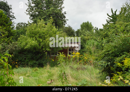 Berlin, Allemagne, Wochenendhaeuschen abandonné dans un jardin envahi par la Banque D'Images