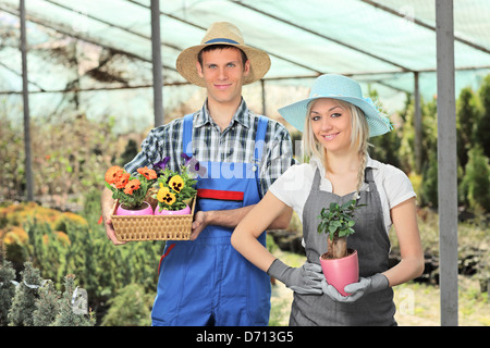Les hommes et les jardiniers holding pot à fleurs et de poser dans une serre chaude Banque D'Images