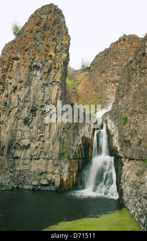 Cascade du désert, McCartney Creek, Nature Conservancy Préserver, Moïse Coulee, avril Washington Banque D'Images