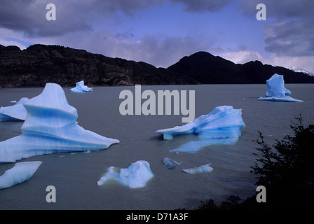 Le Chili, Torres del Paine Nat'l Park, le lac Grey, Icebergs Banque D'Images