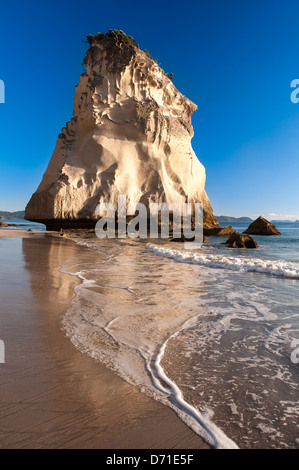 Tôt le matin, la lumière et la roche calcaire naturelle saisissante connu sous le nom de pile Te Hoho Rock, Cathedral Cove, péninsule de Coromandel. Nouvelle Zélande Banque D'Images