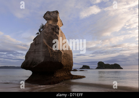 Early morning light, Sphinx Rock in Mare's Leg Cove, près de Cathedral Cove, péninsule de Coromandel, île du Nord Nouvelle-zélande Banque D'Images