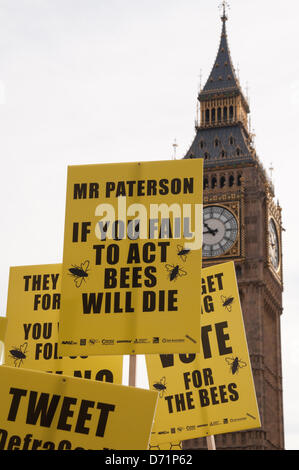 Londres, Royaume-Uni. 26 avril 2013. Des pancartes contre la ville de Westminster que les apiculteurs et les partisans de fantaisie habillés prennent la place du Parlement pour appeler à une interdiction européenne de pesticides néonicotinoïdes. Les organisateurs espèrent persuader Rt Hon Owen Paterson, député, secrétaire d'État à l'environnement et des Affaires rurales, à l'appui d'un vote de l'UE interdisant l'abeille nuire à pesticides néonicotinoïdes le lundi 29 avril. Banque D'Images