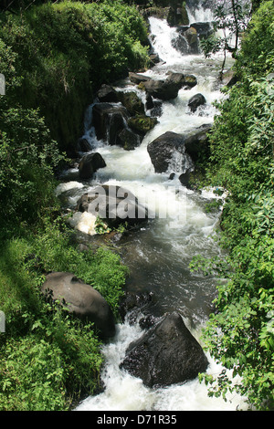 Une rivière d'eau vive qui s'écoule loin de la Tombe Peguche près d'Otavalo, Équateur Banque D'Images