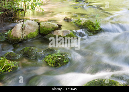 Un ruisseau, une rivière, la sierra de Cadix, Espagne Banque D'Images