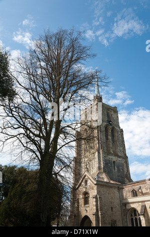 L'église St Mary montrant la tour et clocher Ashwell Hertfordshire UK Banque D'Images