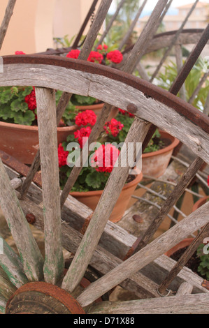 Dans des pots en terre cuite géraniums rouges sur un vieux panier panier en premier plan de roue ; Banque D'Images