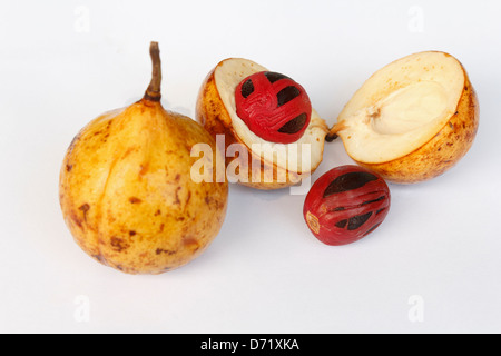 De muscade fraîche fruit en coquille ouverte isolé sur fond blanc Banque D'Images