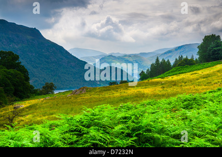 La place est tombée et les coquillages environnants d'Ullswater vus des pentes de la vallée d'Aira Beck près de Dockray dans le Lake District, Cumbria, Angleterre. Banque D'Images