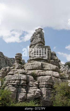 Des formations de roche calcaire dans la région de El Torcal à Malaga, Espagne Banque D'Images