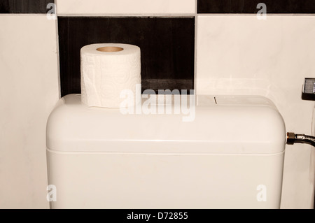 Papier hygiénique Banque D'Images