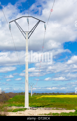 Rangée de lignes électriques rurales traversant une zone verte ouvert vide Banque D'Images