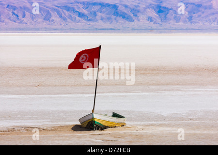 Chott el Jerid (lac Salé), près de Tozeur, Tunisie Banque D'Images