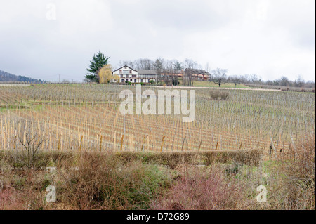 Trimbach Winery, Ribeauville Banque D'Images