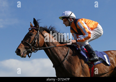 Iffezheim, Allemagne, Danedream Andrasch Aufgalopp avec forte dans la course Banque D'Images