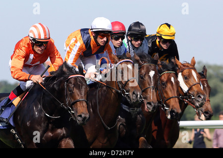 Iffezheim, Allemagne, avec Danedream Andrasch Strong (deuxième à gauche) dans la course Banque D'Images