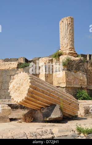 Colonnes de l'ancienne ville de Beit Shean. Israël. Banque D'Images