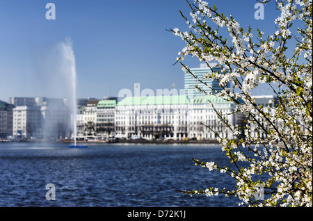 Dans l'atmosphère de printemps dans Inner Alster Hambourg, Allemagne, Europe Banque D'Images