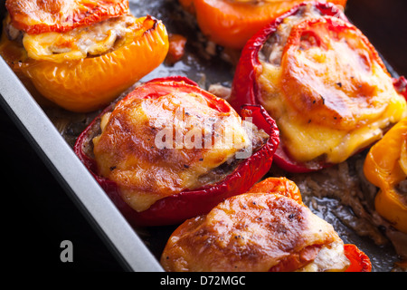 Poivrons farcis au fromage, de la viande hachée et tomate sur un moule noir Banque D'Images