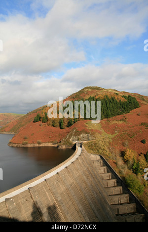 Couleurs d'automne Llyn Clywedog Powys Pays de Galles UK Banque D'Images