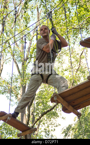 Berlin, Allemagne, high ropes course dans la Vierge Heath Banque D'Images