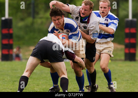 A Washington Rugby Football Club porteur du ballon est plaqué par des joueurs de l'ancienne Puget Sound Rugby Football Club pendant un match. Banque D'Images