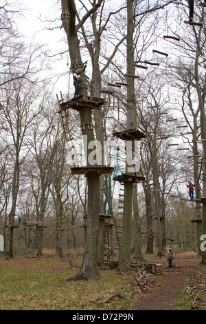 Berlin, Allemagne, high ropes course dans la Vierge Heath Banque D'Images