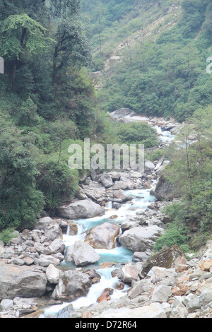 Sentier nature. Kanchenjunga sikkim national en Inde. Banque D'Images