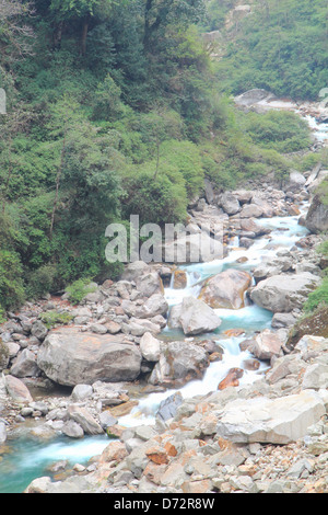 Sentier nature. Kanchenjunga sikkim national en Inde. Banque D'Images