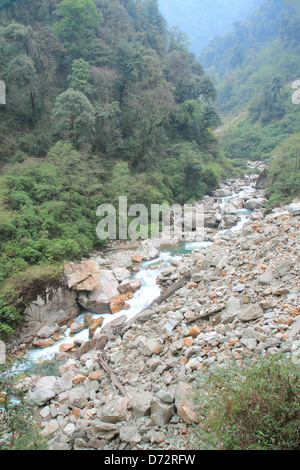 Sentier nature. Kanchenjunga sikkim national en Inde. Banque D'Images