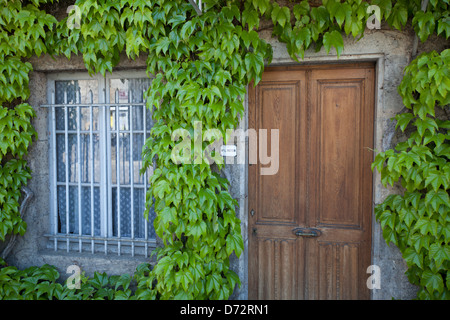 Arbois, France, façade recouverte de lierre Banque D'Images